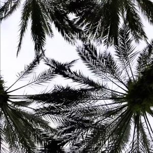 Meet your Posher, Bethann